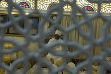 Aqaa Maulaa's Tasweer e ba-jamaal during the Milaad e Maymoon